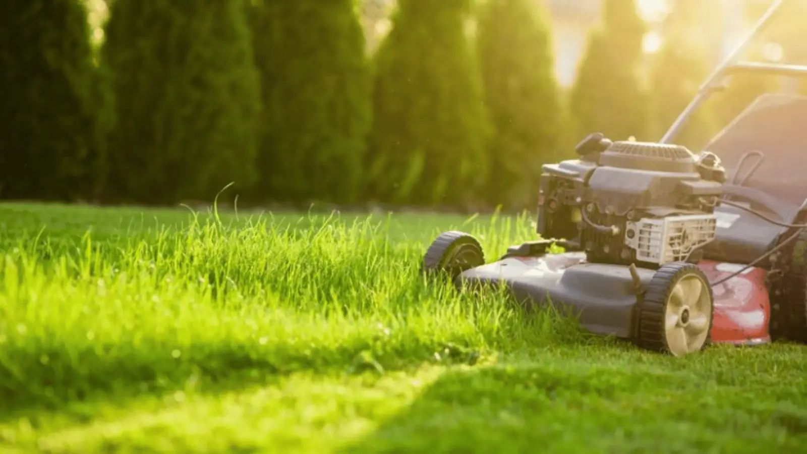 MDA Services — lawn care in Leppington
